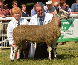 Royal Welsh Show Show Results