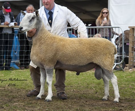 Royal Highland Show – Traditional Show Results