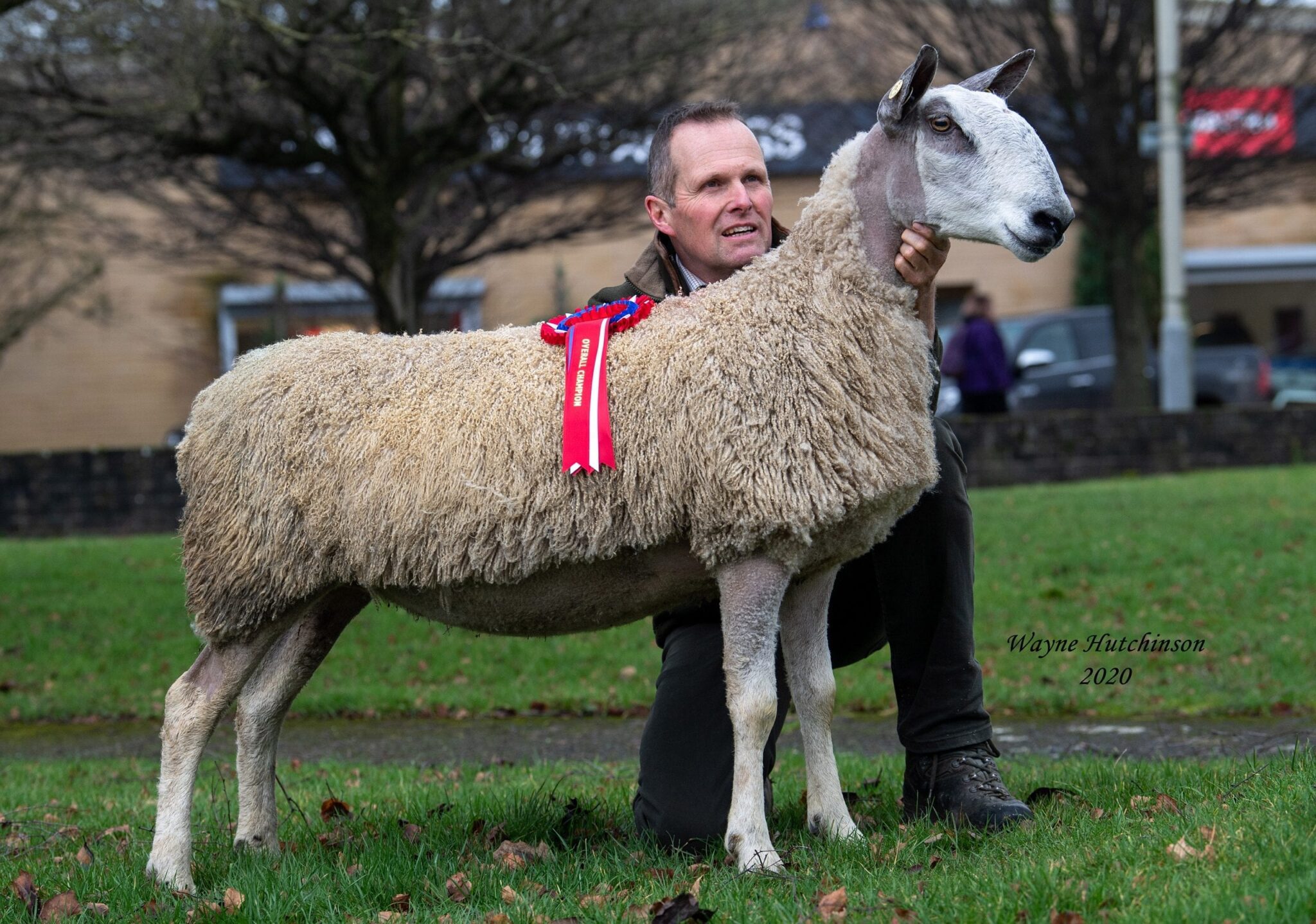 Carlisle Traditional Female Sale Sale Reports