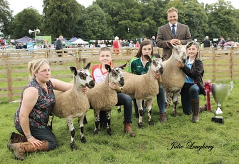 Northern Ireland Progeny Show Show Results