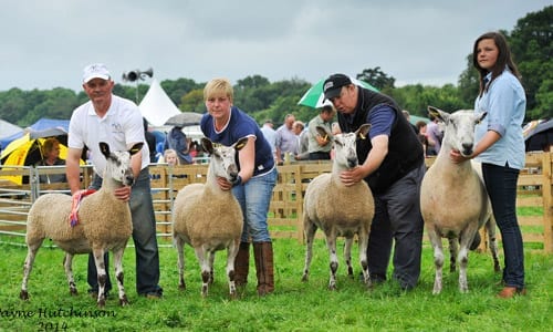 Northern Ireland Progeny Show Show Results