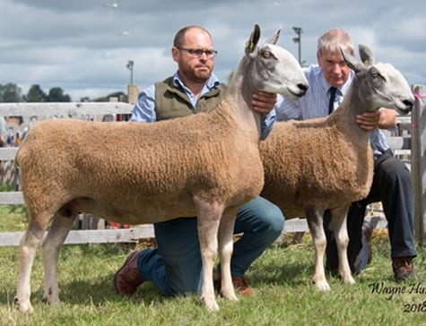 Scottish Progeny Show Traditional Type Show Results