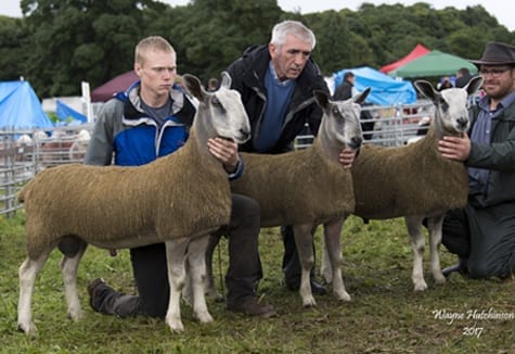 Penrith Progeny Show – Traditional Show Results