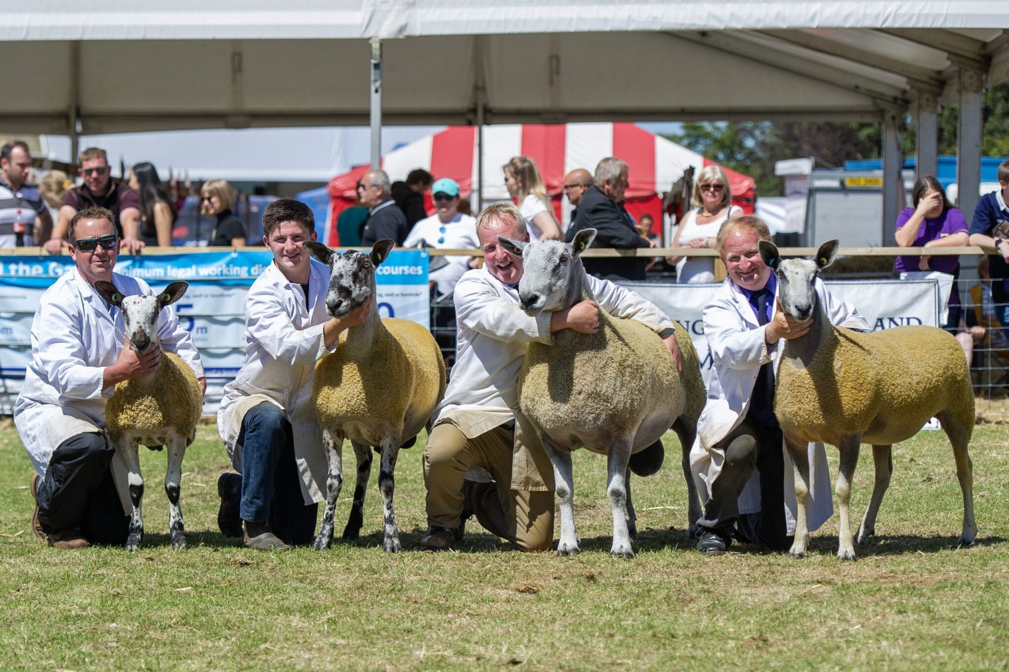 Royal Highland Show – Traditional Type Show Results