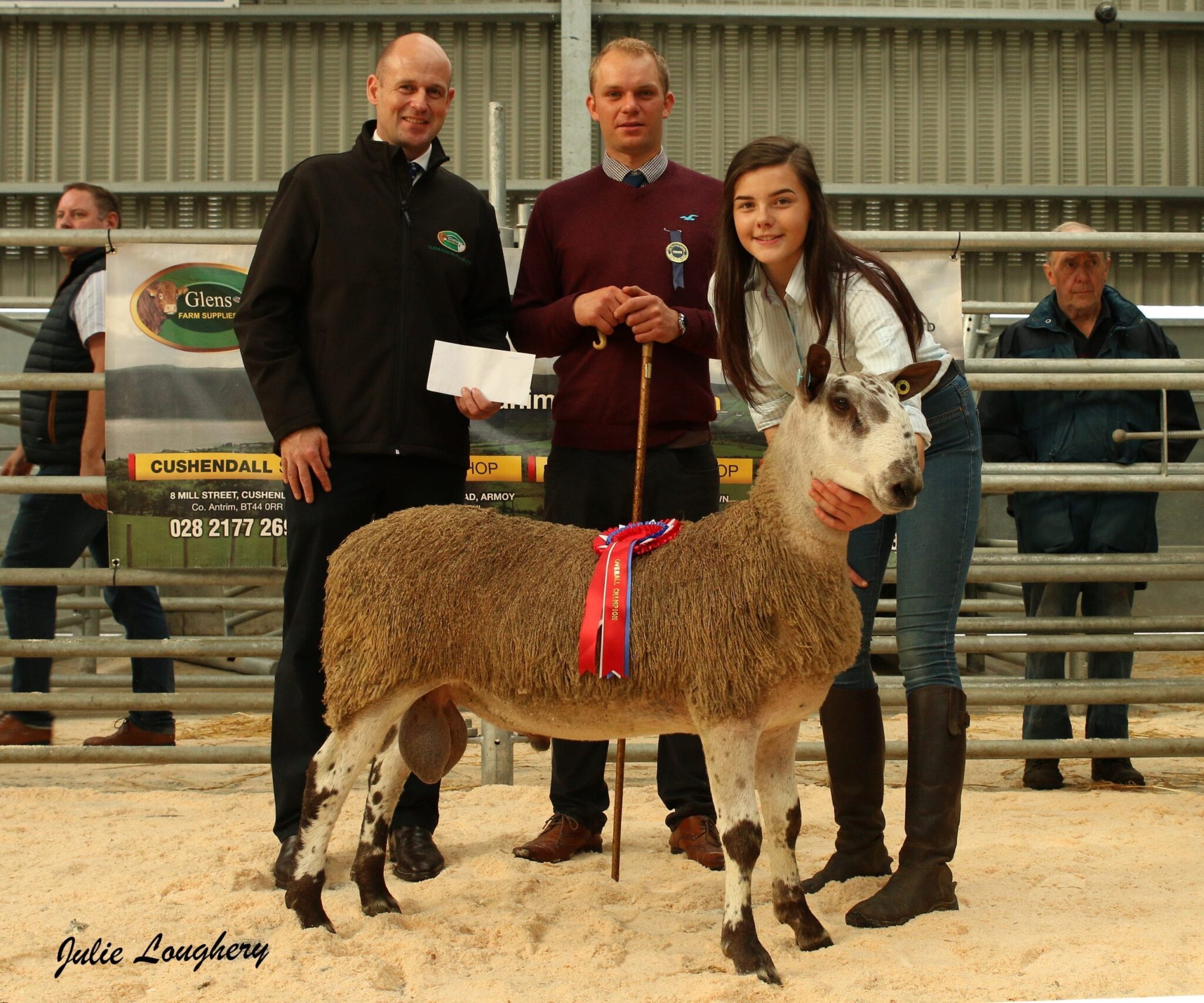 Ballymena Ram & Female Sale Sale Reports