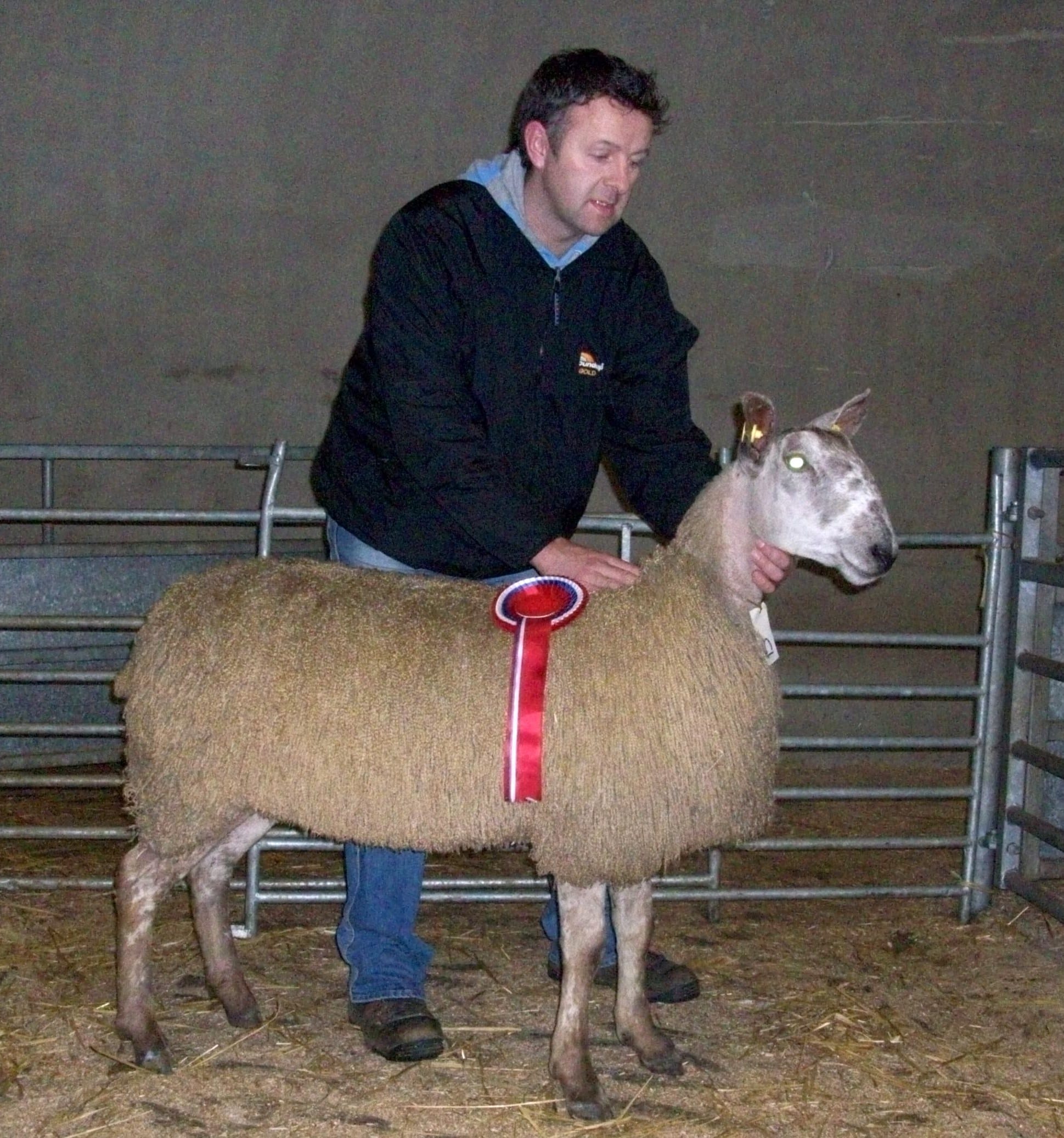 Ballymena Female Sale Sale Reports