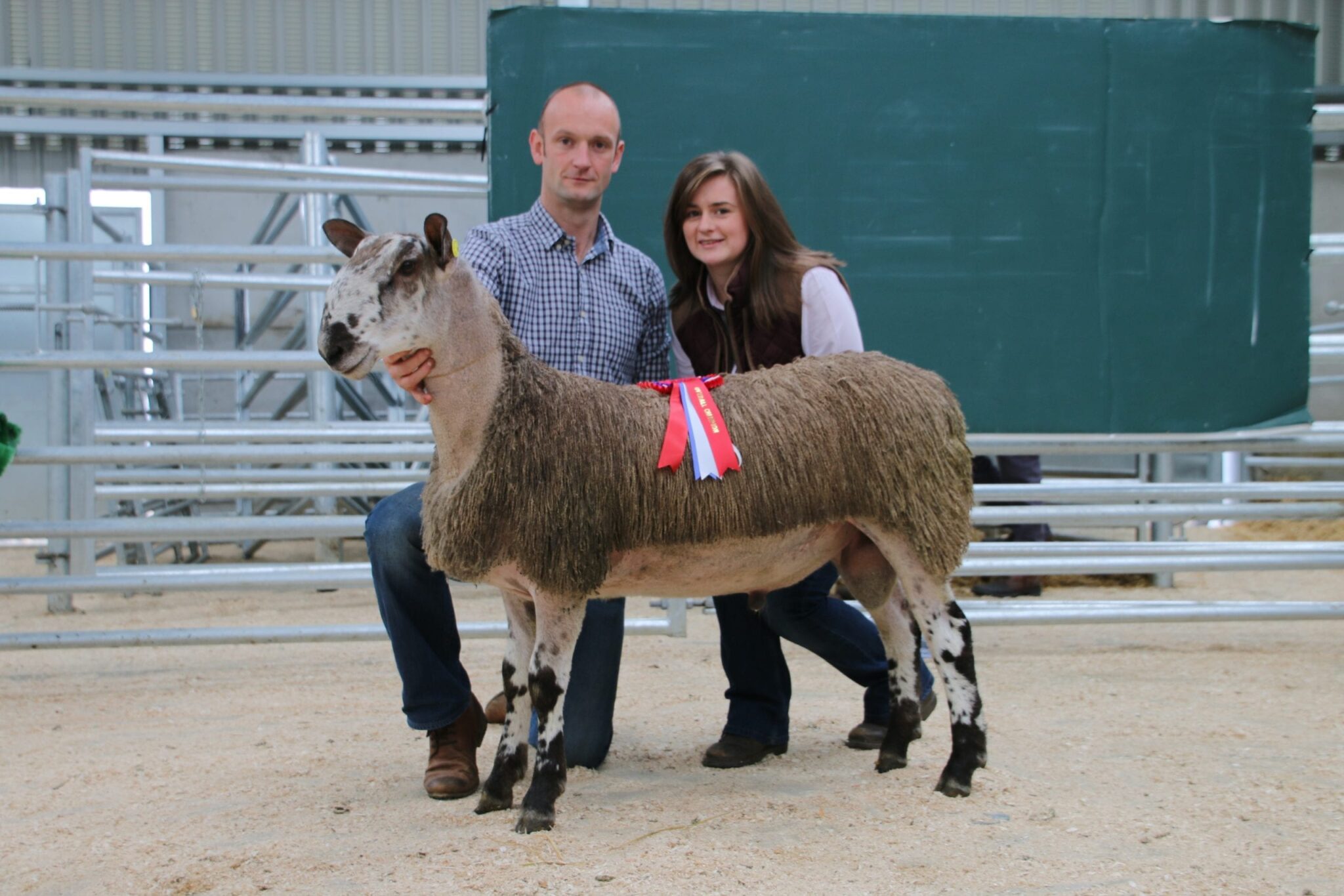 Ballymena Ram & Female Sale Sale Reports