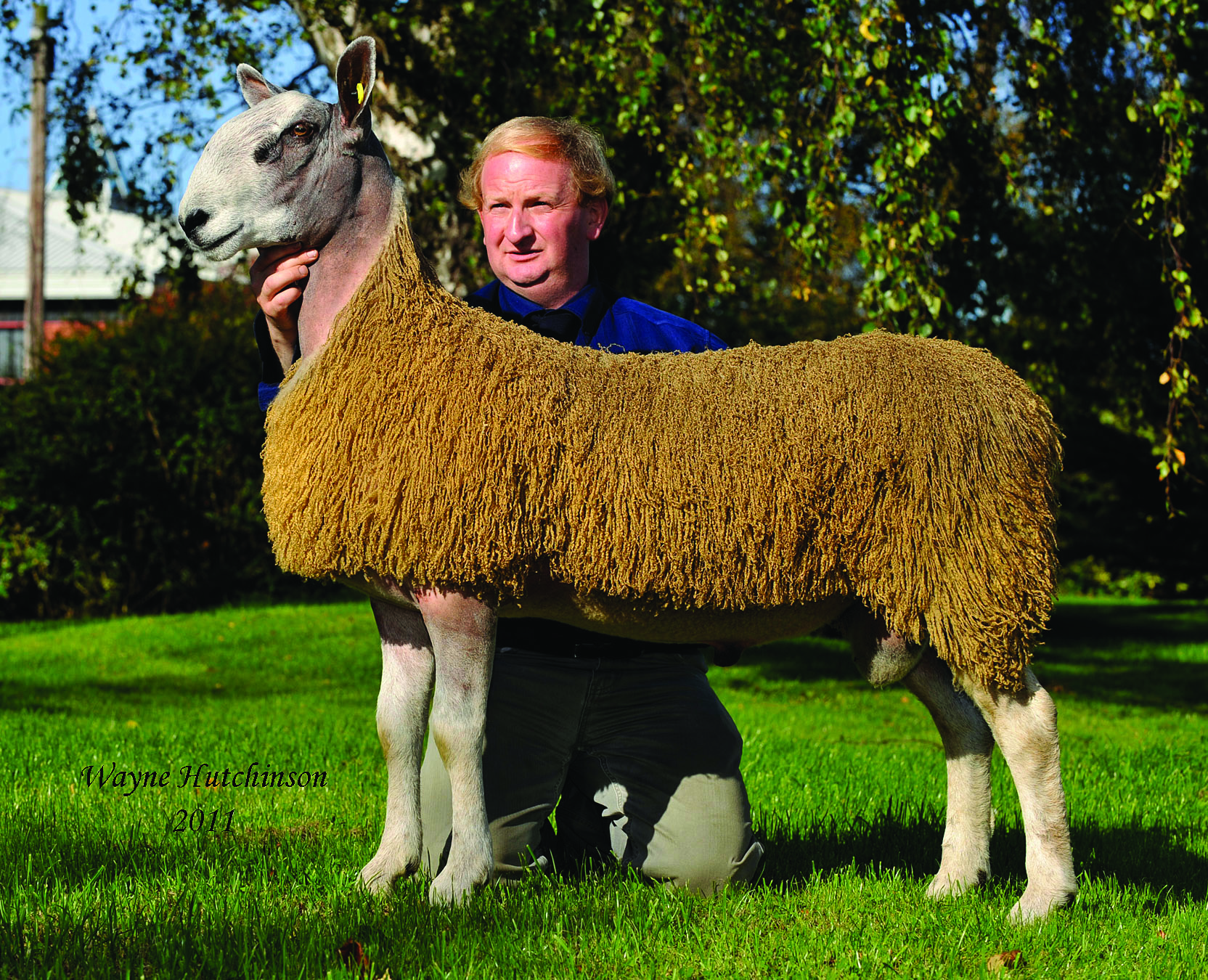 Carlisle Ram & Female Sale 2011 Sale Reports