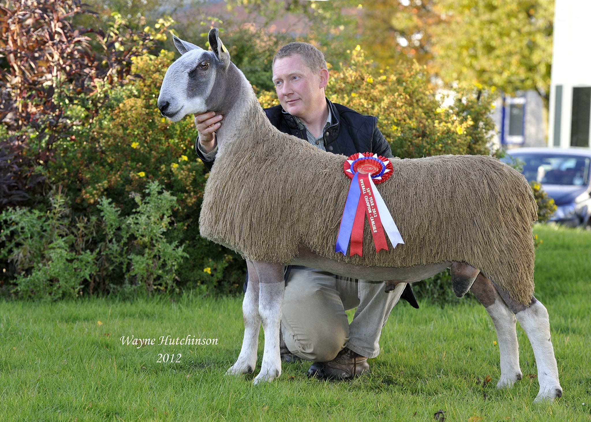 Carlisle Ram & Female Sale Sale Reports