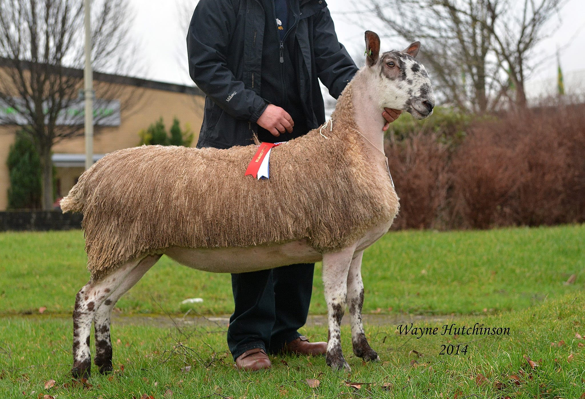 Carlisle Female Sale Sale Reports