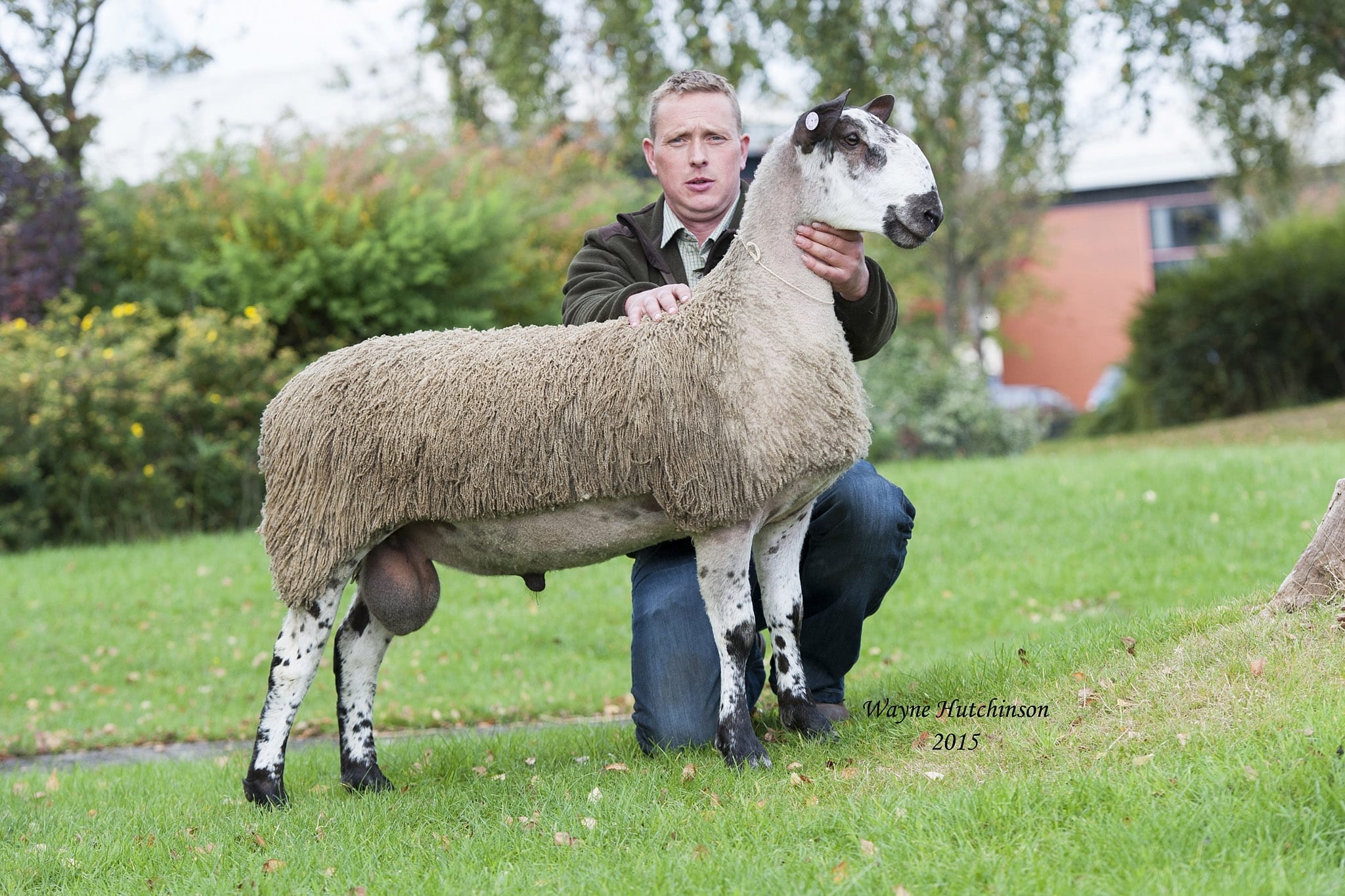 Carlisle Crossing Type Rams & Female Sale Sale Reports