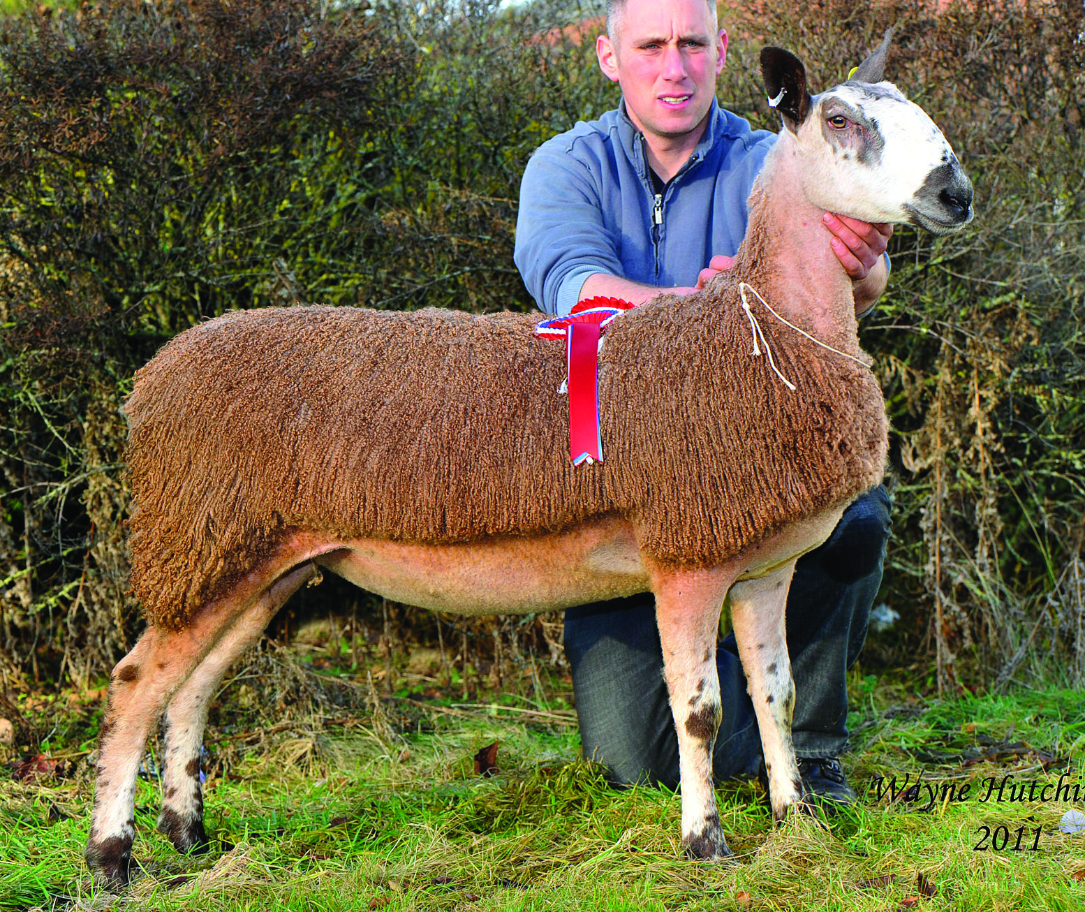 Carlisle Female Sale 2011 Sale Reports