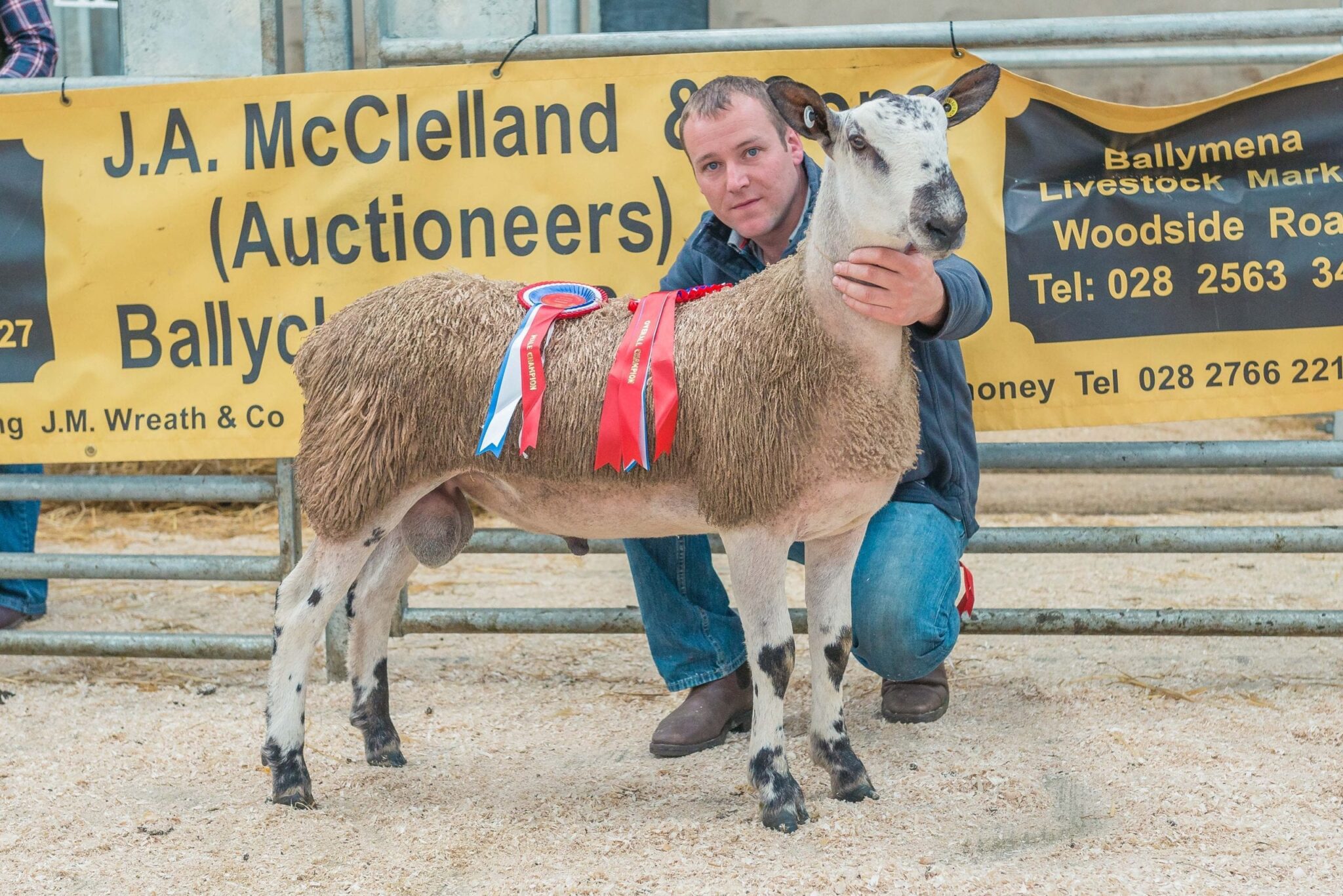 Ballymena Rams & Female Sale Sale Reports