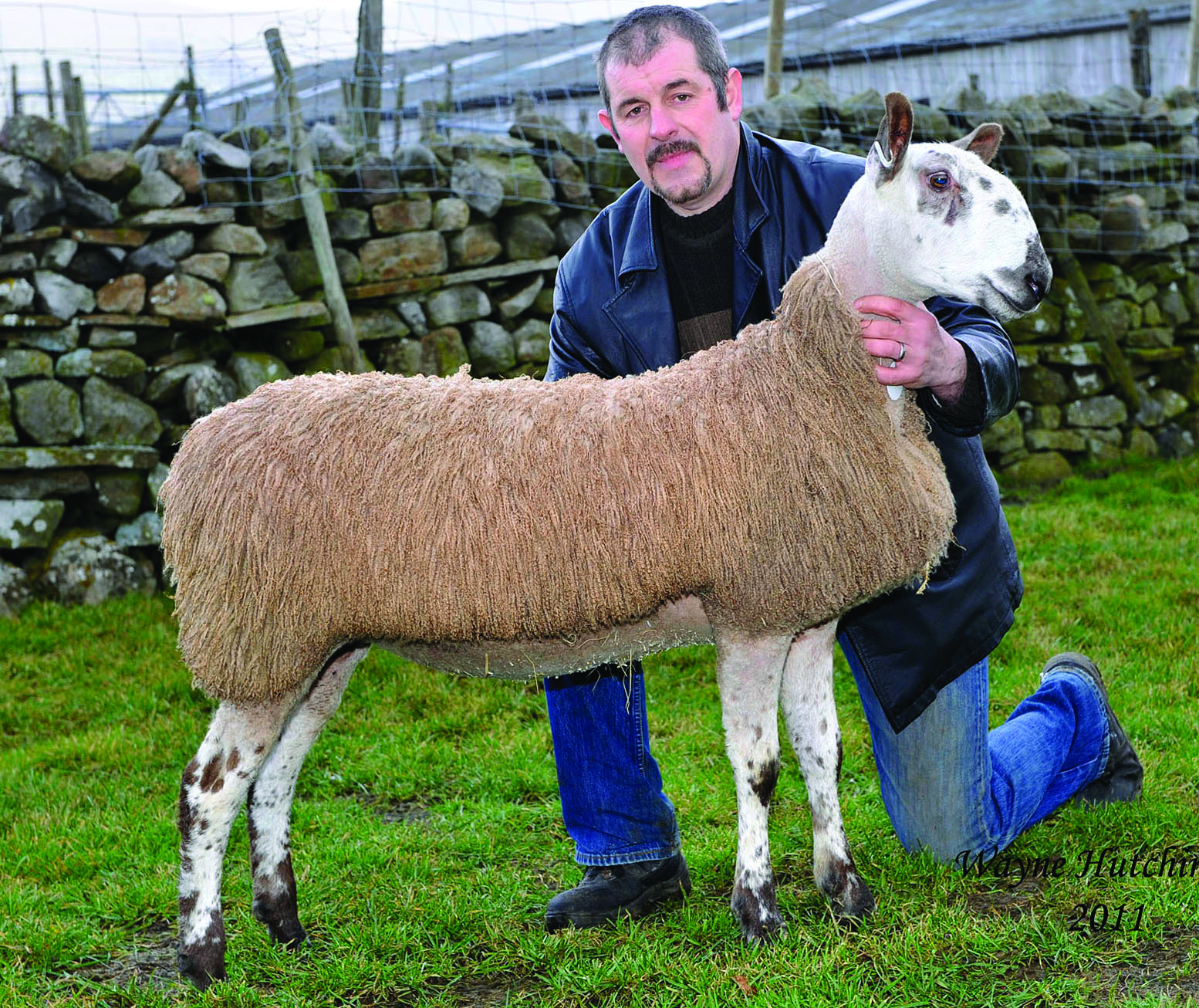 Hawes Female Sale 2011 Sale Reports