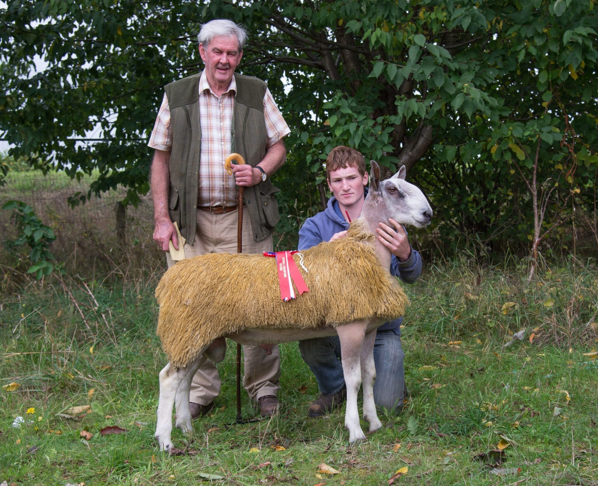 Ruthin Ram & Female Sale Sale Reports