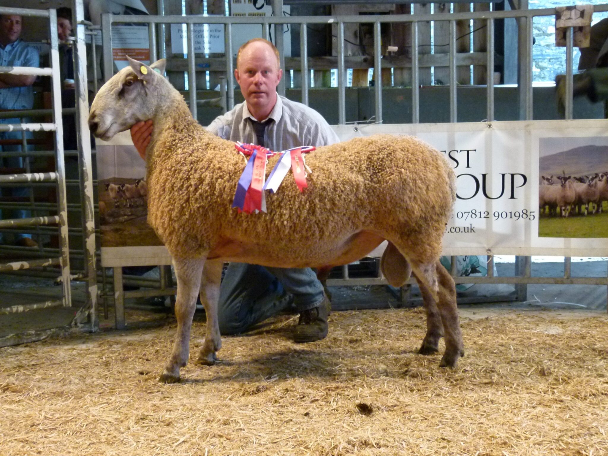 Tavistock Ram & Female Sale Sale Reports