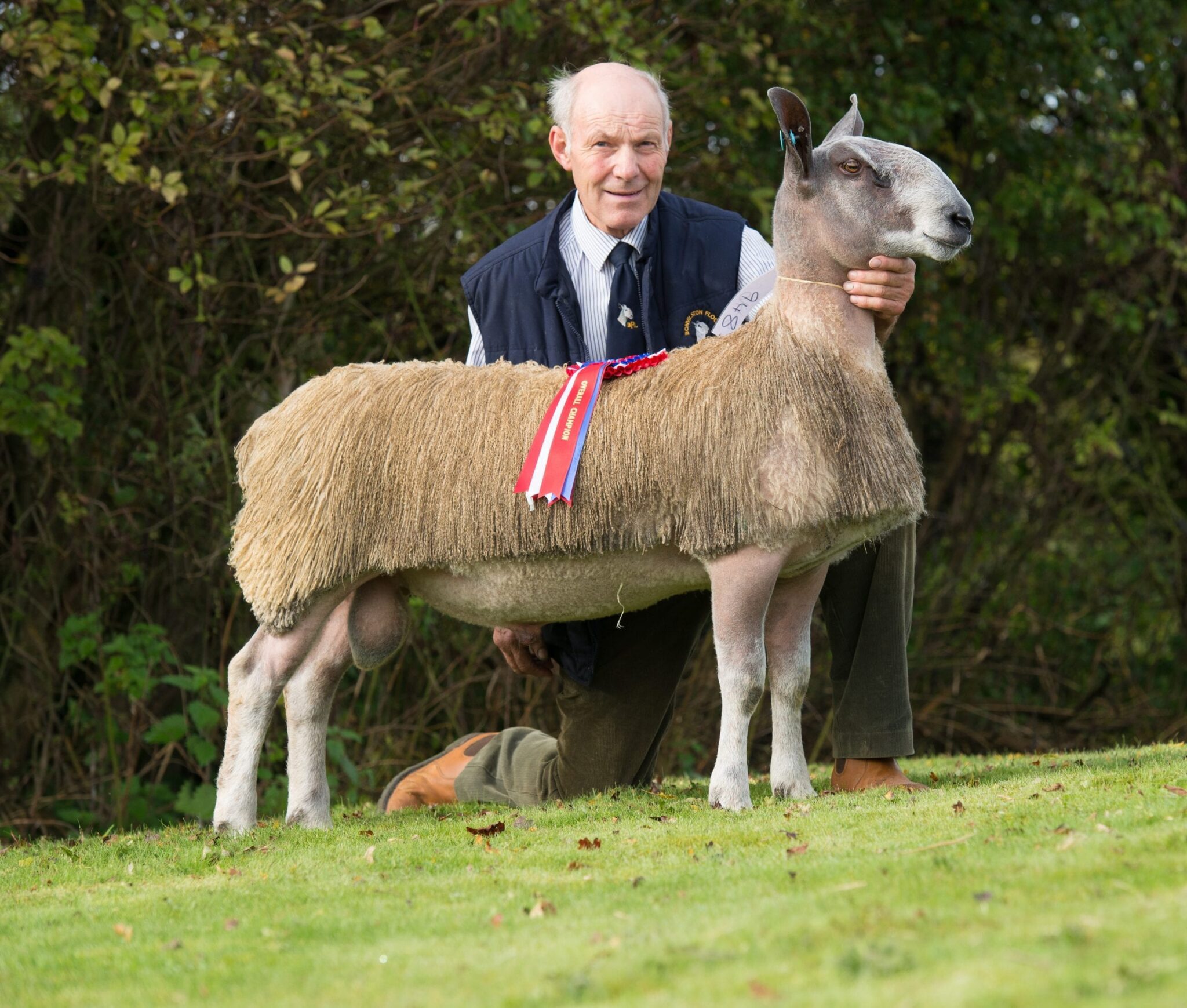 Welshpool Ram & Female Sale Sale Reports