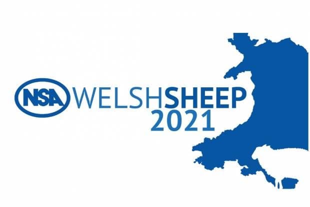 NSA Welsh Sheep Icon