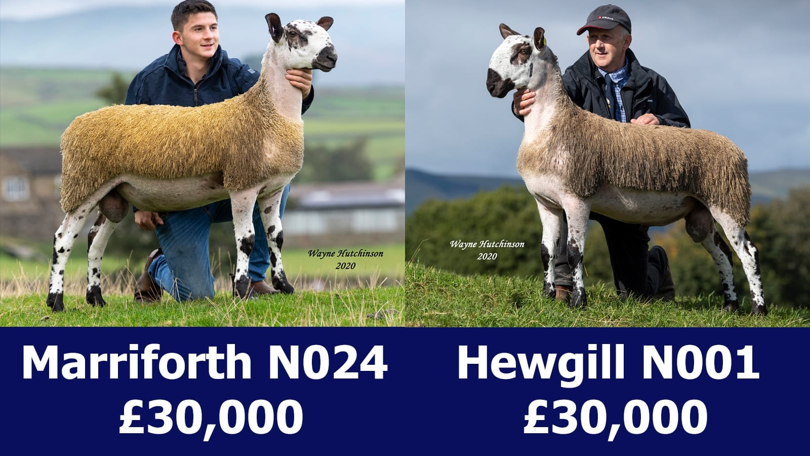 Hawes Sale Image
