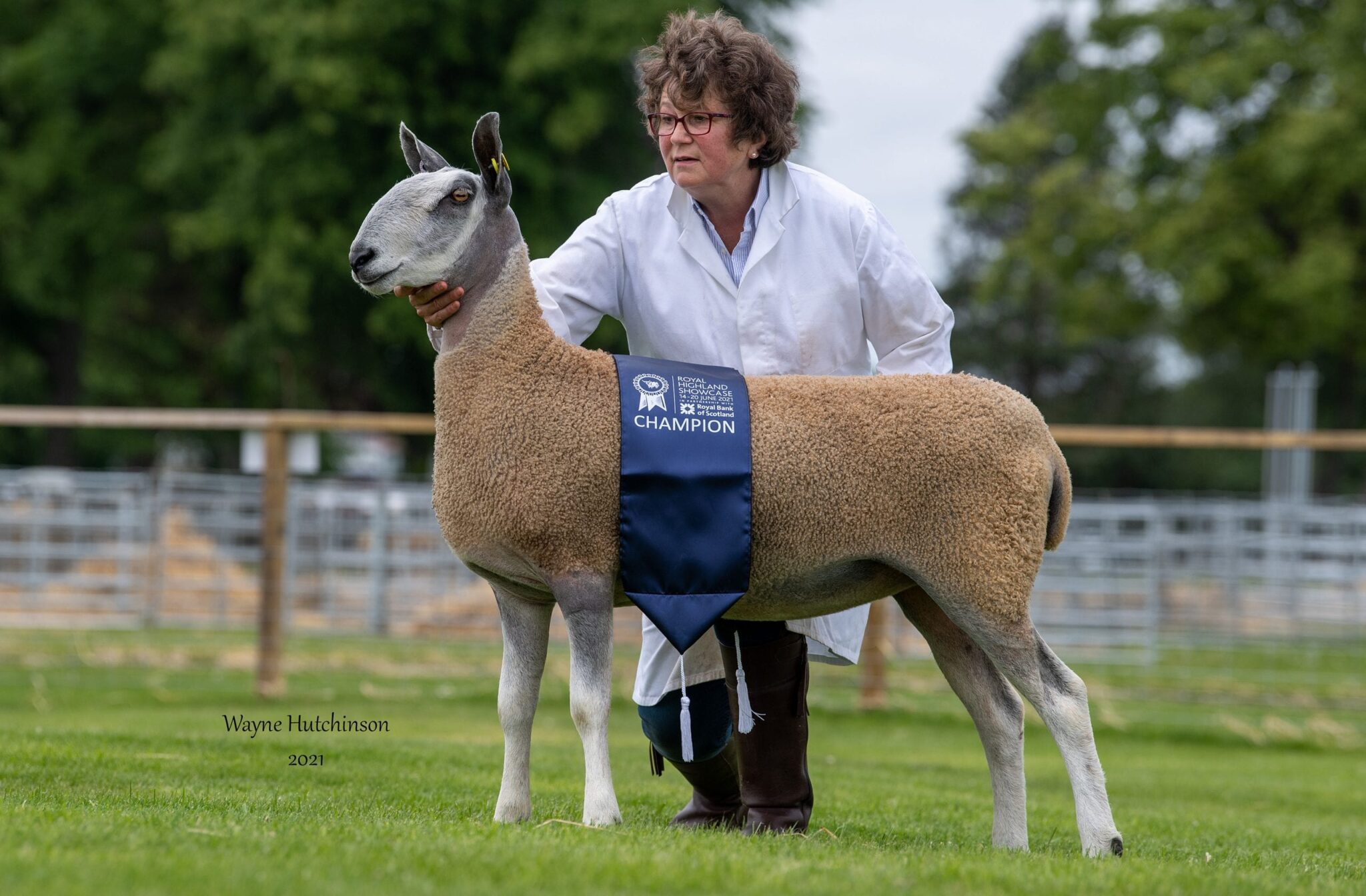 Royal Highland Showcase – Traditional Type Show Results