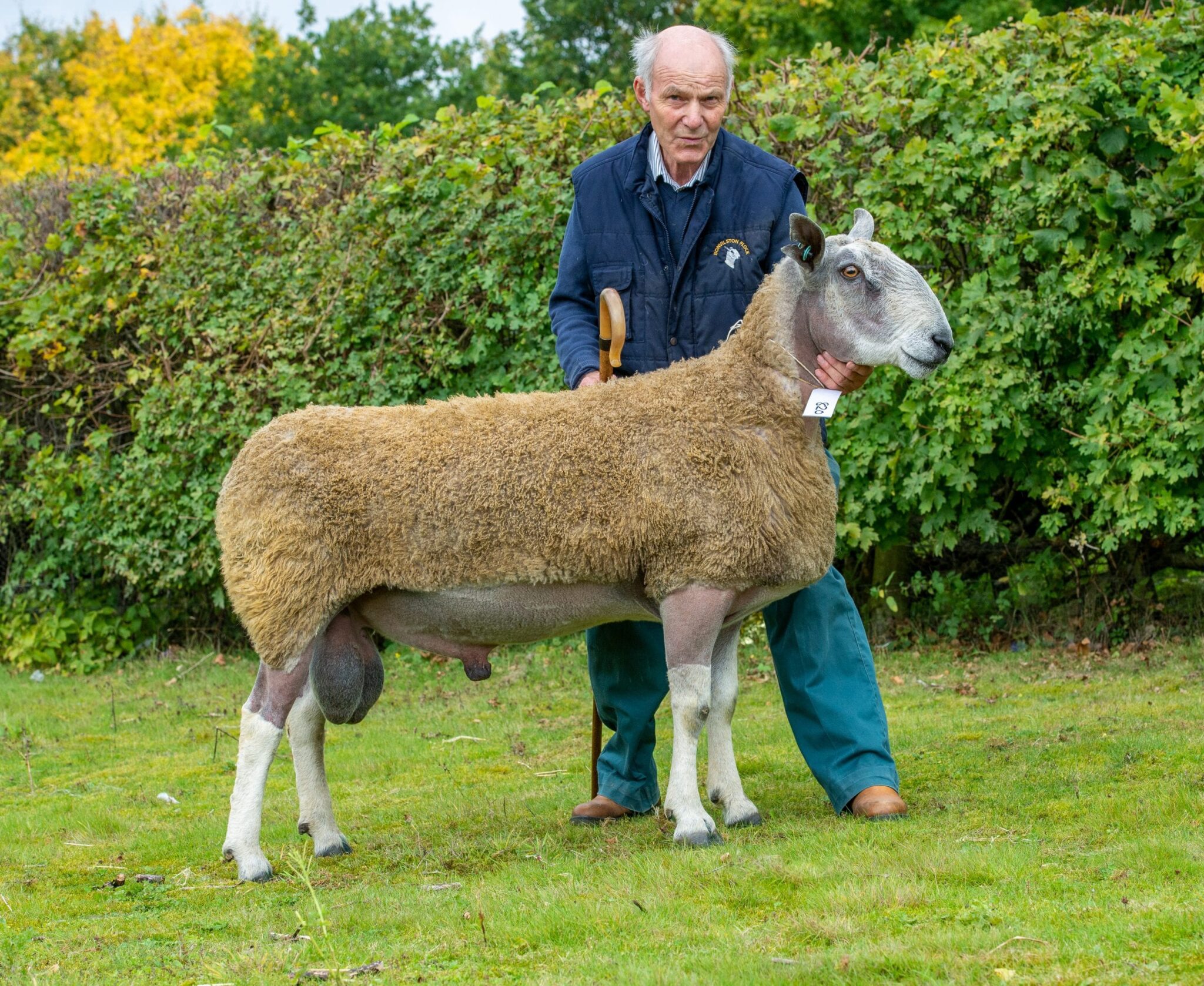 Welshpool Sale Image