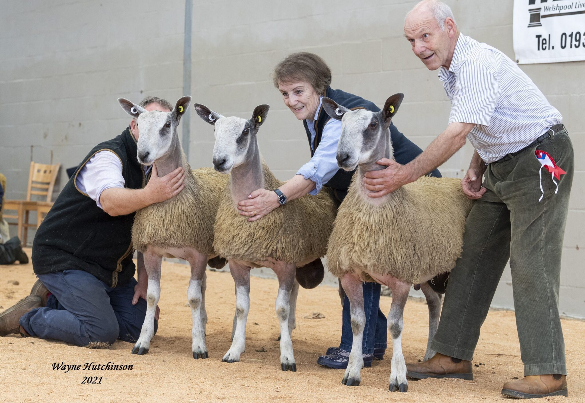 Wales & South West Progeny Show Show Results