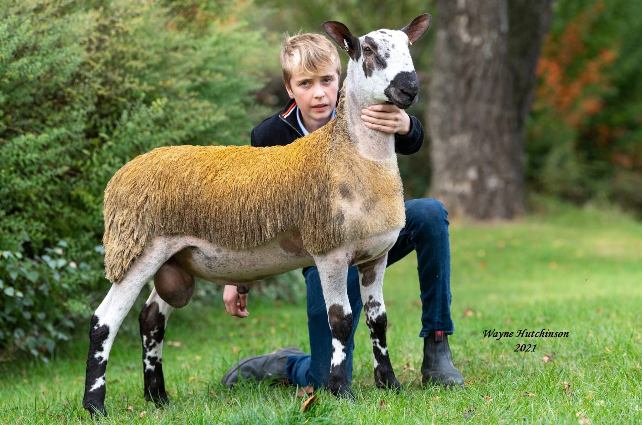 Carlisle Ram Sale - Crossing Type Image