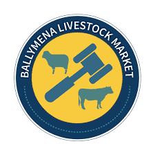 Ballymena - Export Sale of Registered Pedigree Bluefaced Leicester Rams & Females Icon