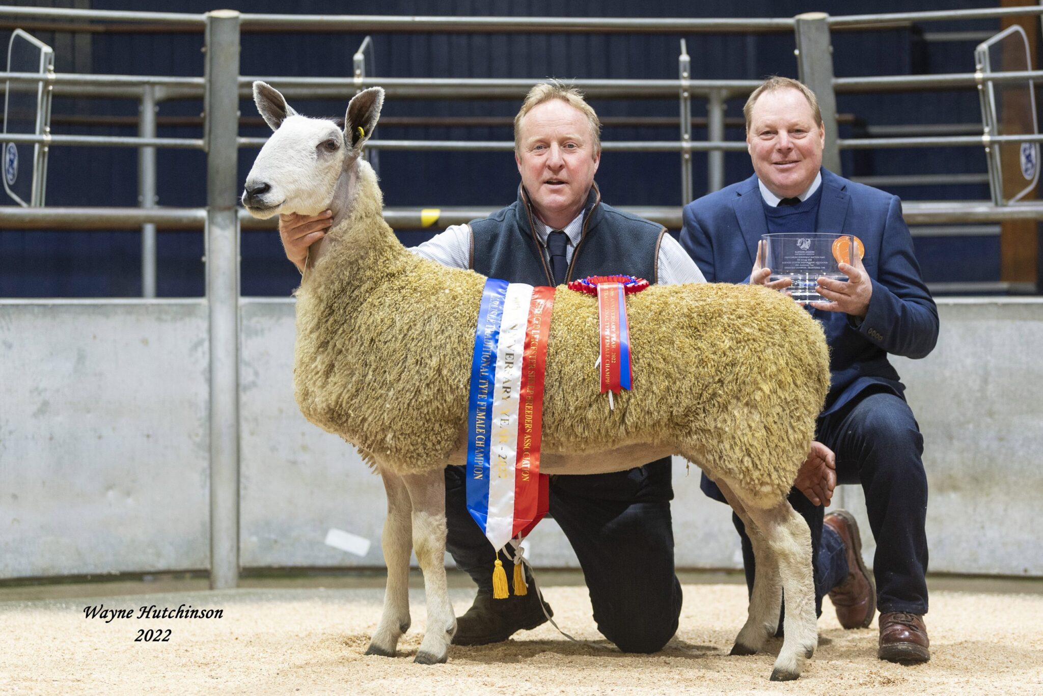 Blue Belles – Carlisle Traditional Female Sale 2022 Sale Reports