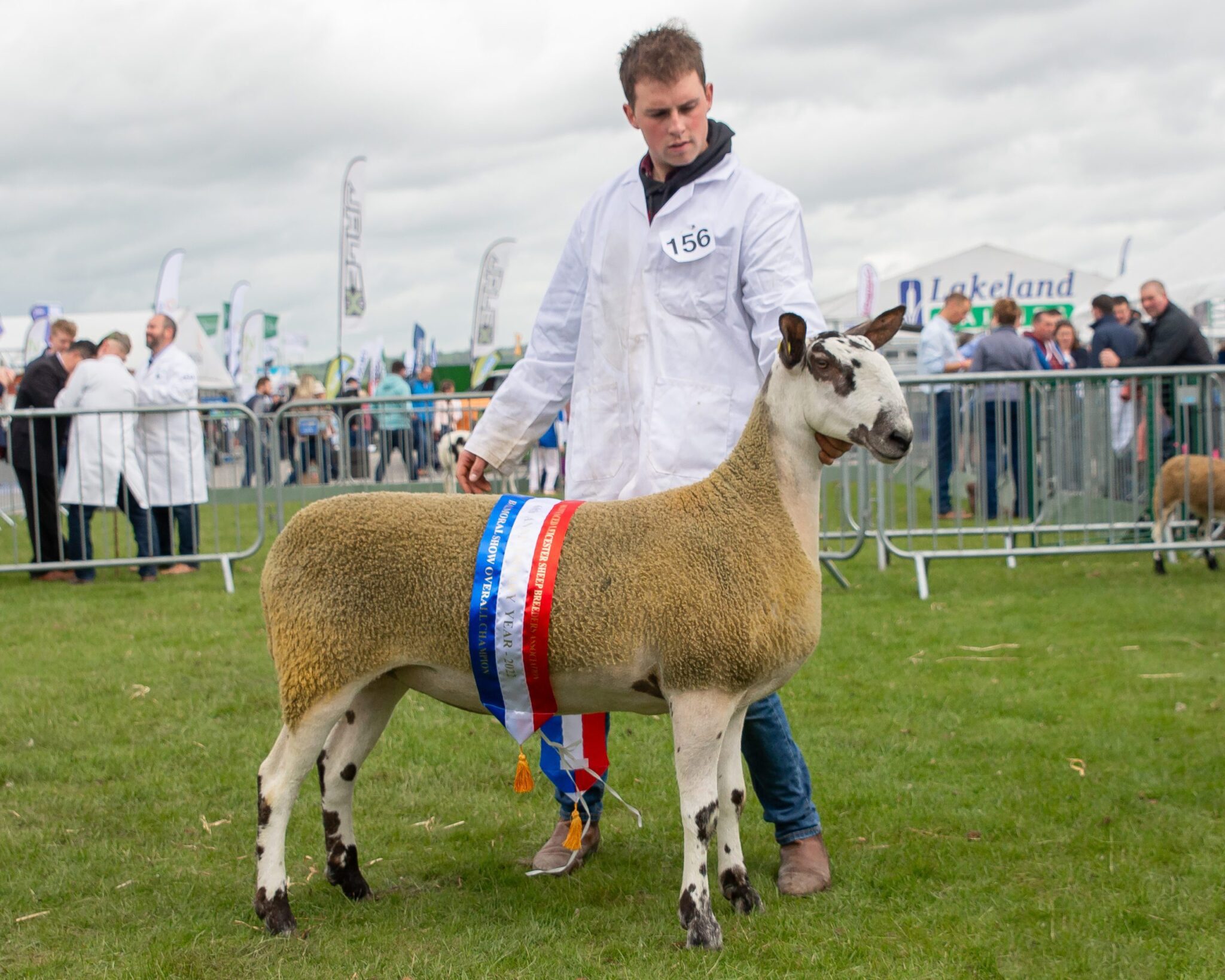 Balmoral Show 2022 Image