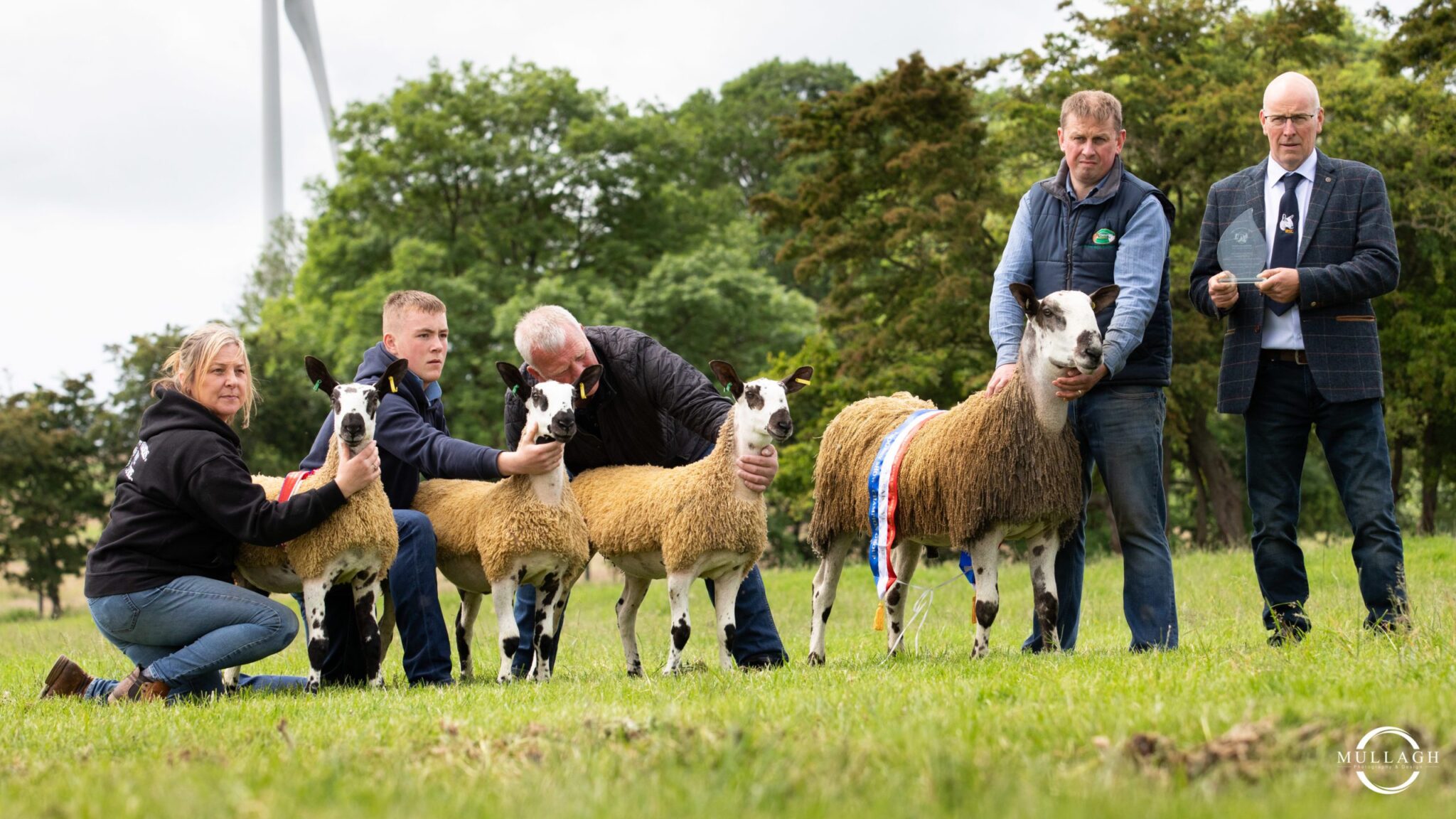 Ballymena Show, 2022 – Including Northern Ireland Progeny Show Show Results