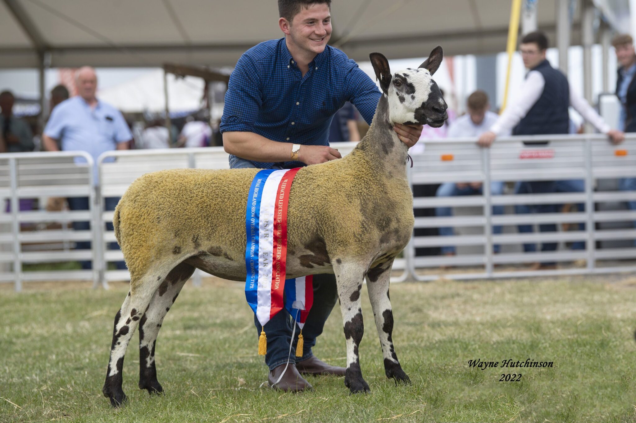 Royal Highland Show – Crossing Type Show Results