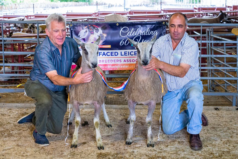 South West Progeny Show Traditional Type Show Results