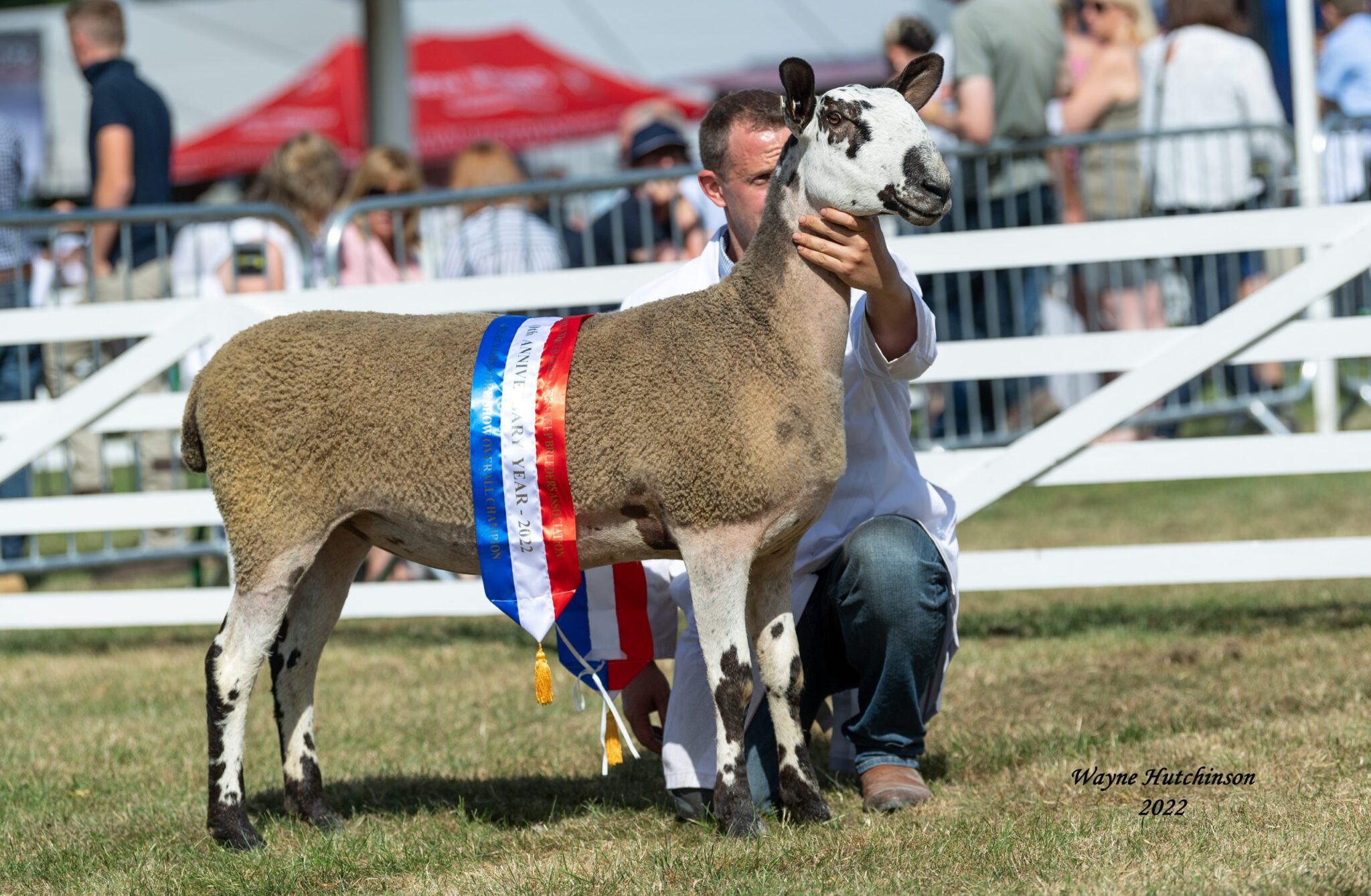 Great Yorkshire Show Show Results