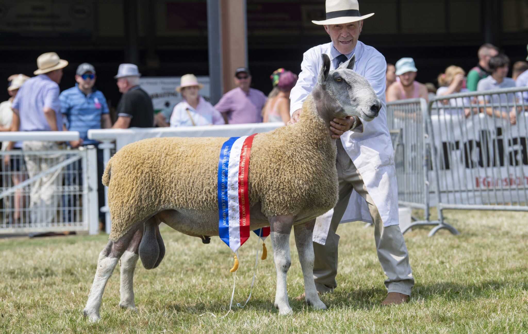 Royal Welsh Show Show Results