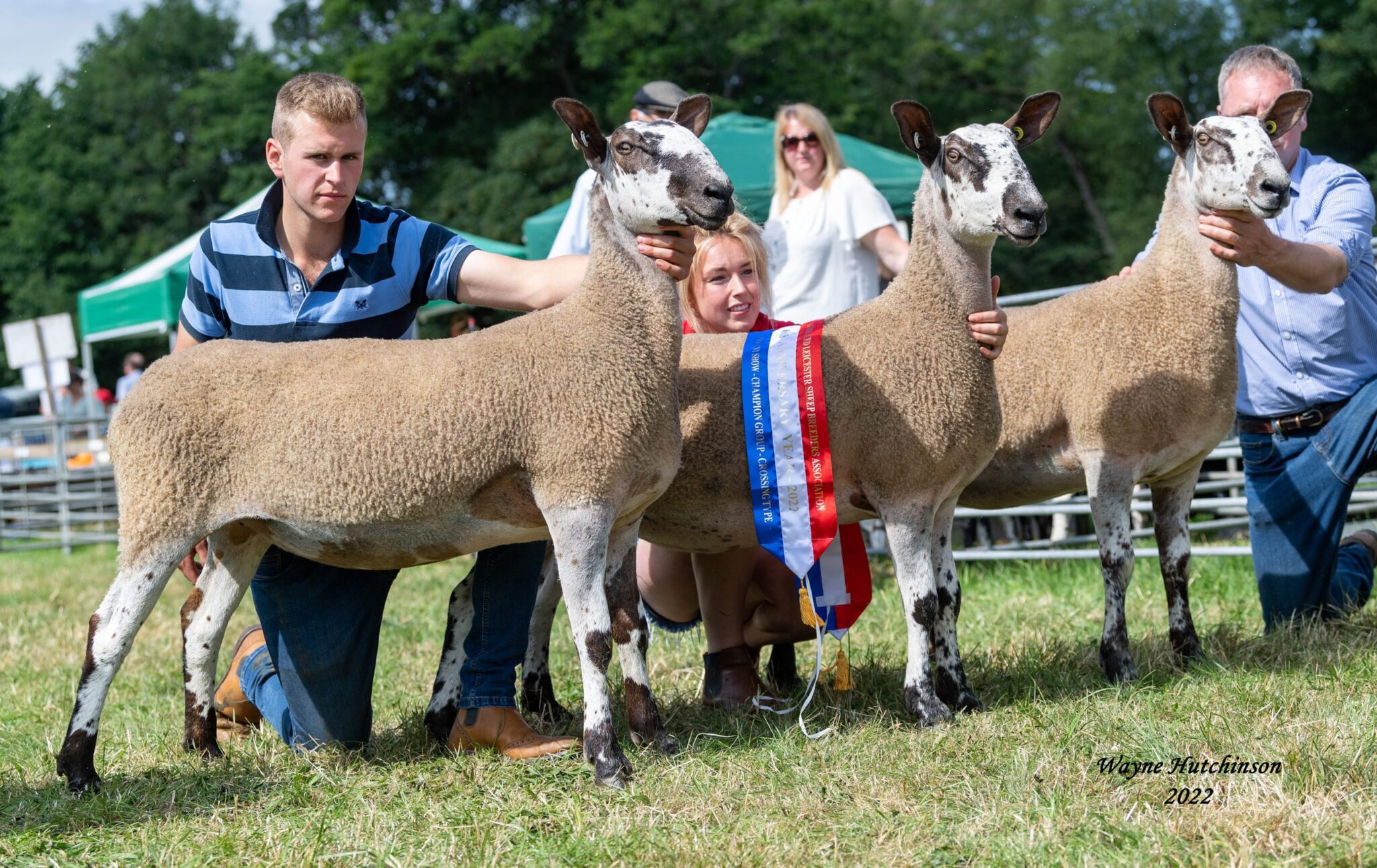 Penrith Progeny Show Crossing Type & Mule Progeny Results Show Results