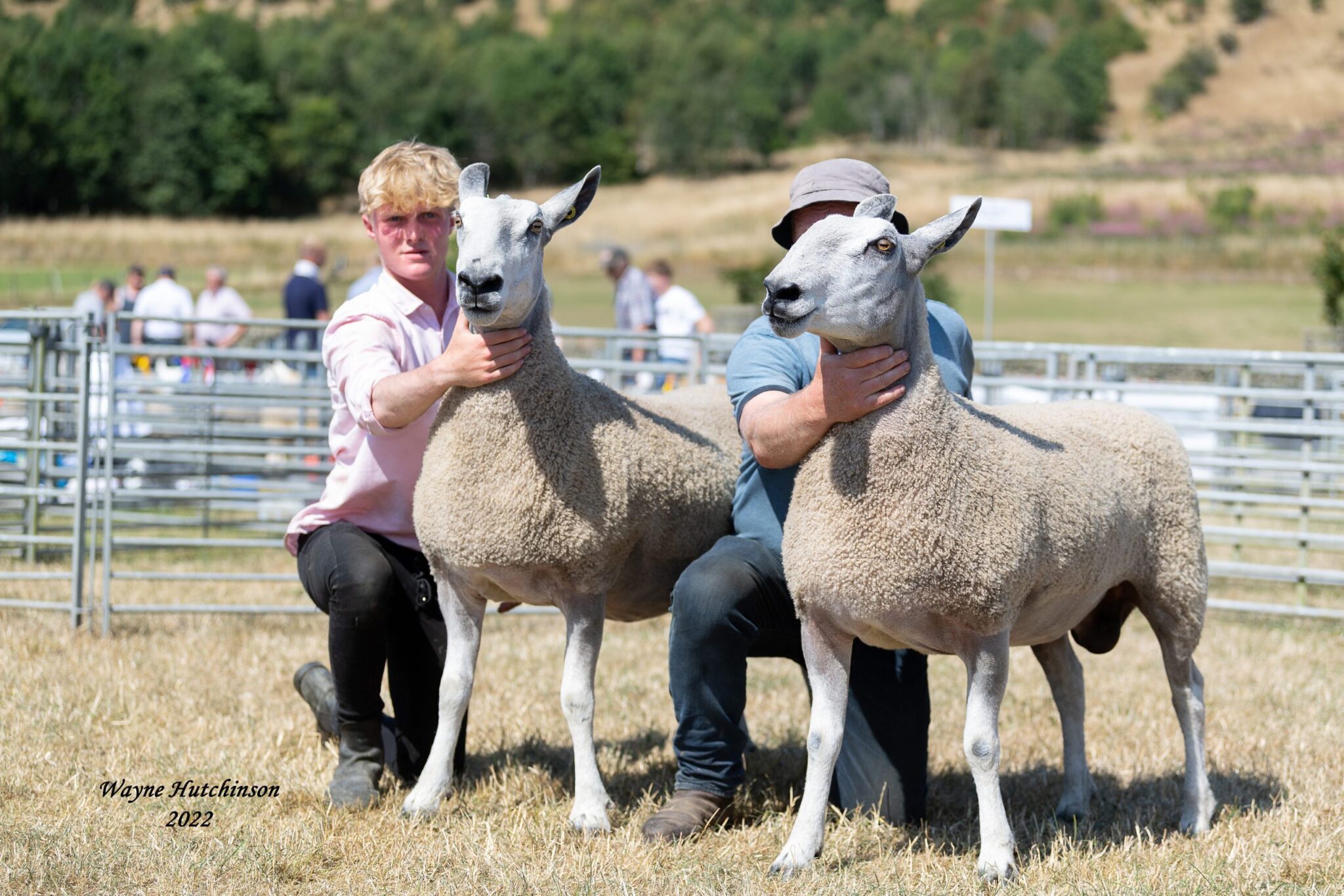 Peebles Show and Scottish Region Progeny Show – Traditional Show Results