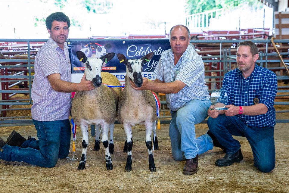 South West Progeny Show Crossing Type & Mule Progeny Results Show Results