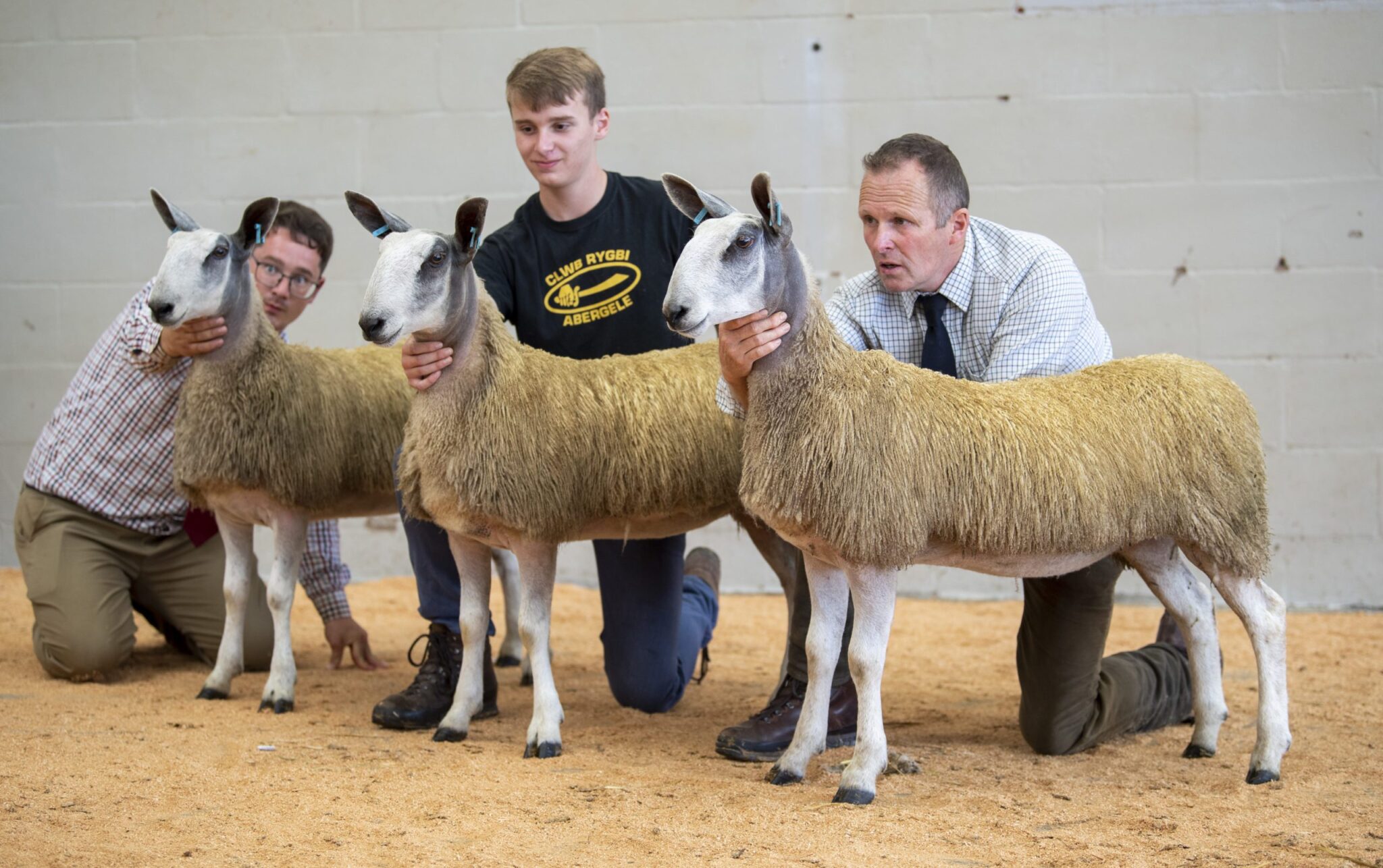 Wales & South West Progeny Show Show Results