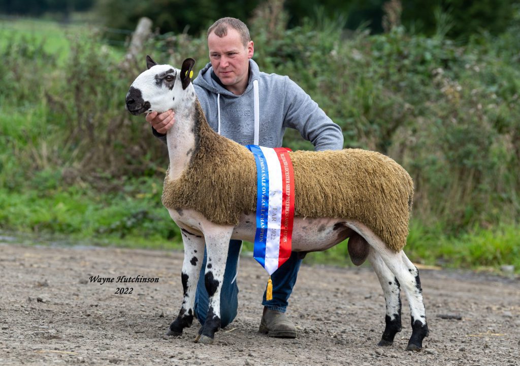 Mistyburn R1 - Overall Champion - 2600gns