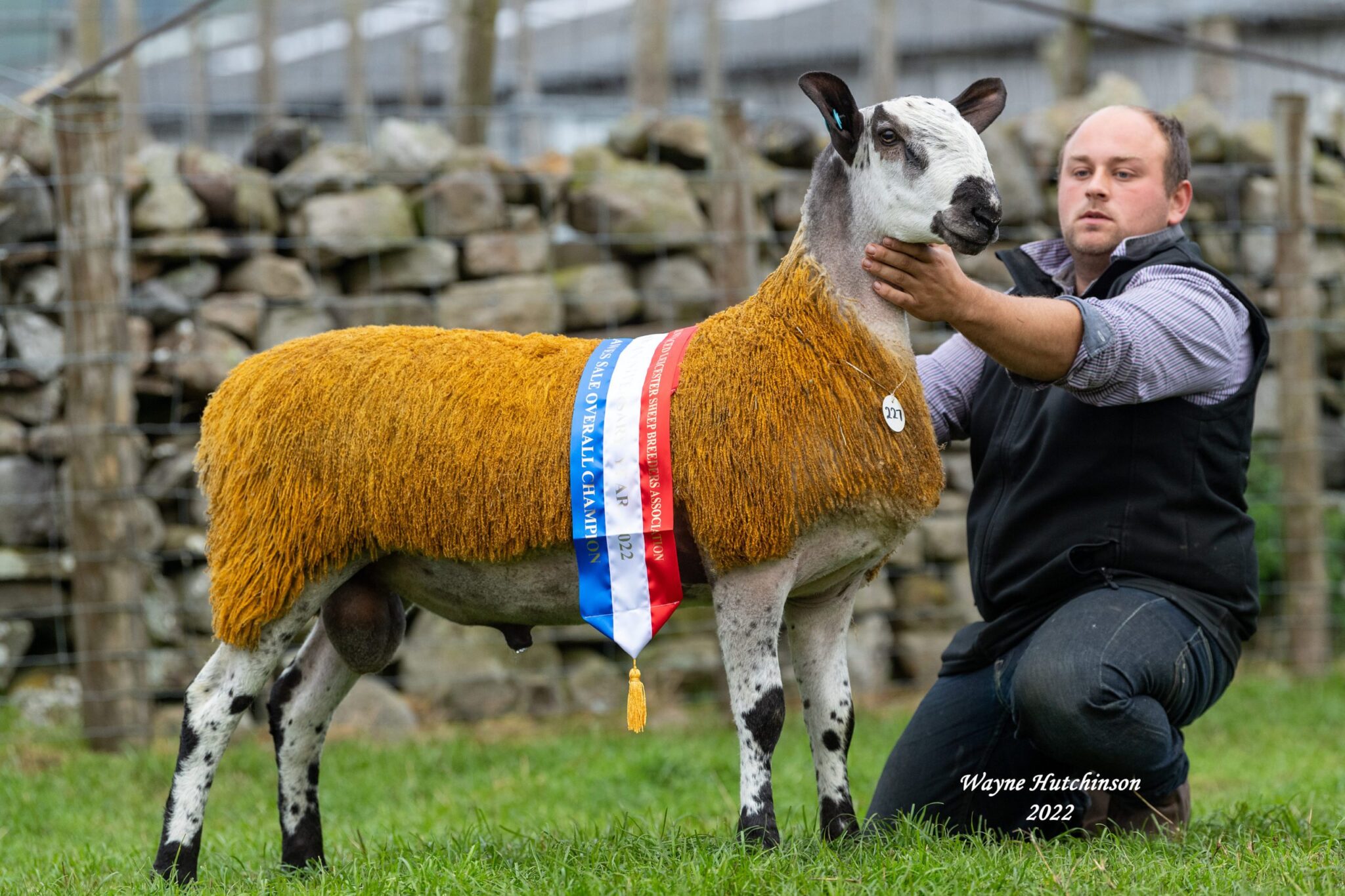 Hawes Ram Sale – Thursday 29th September 2022 Sale Reports