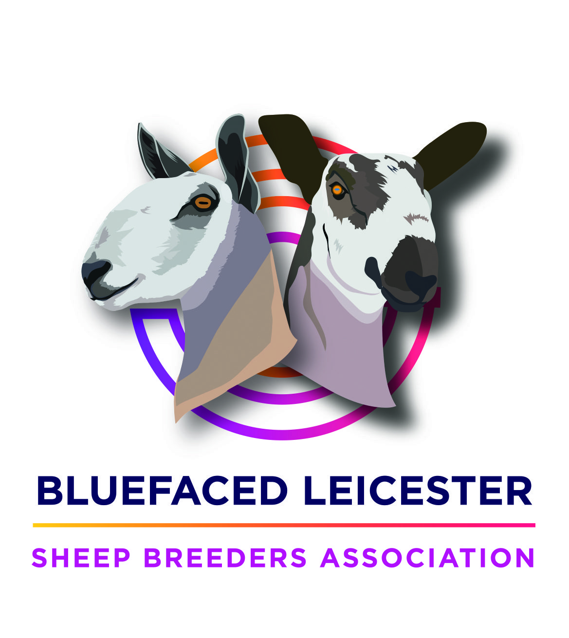 Welsh Sheep Genetics Programme News