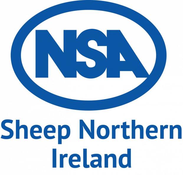 Gallery of Pictures from NSA Northern Ireland 2023  Icon