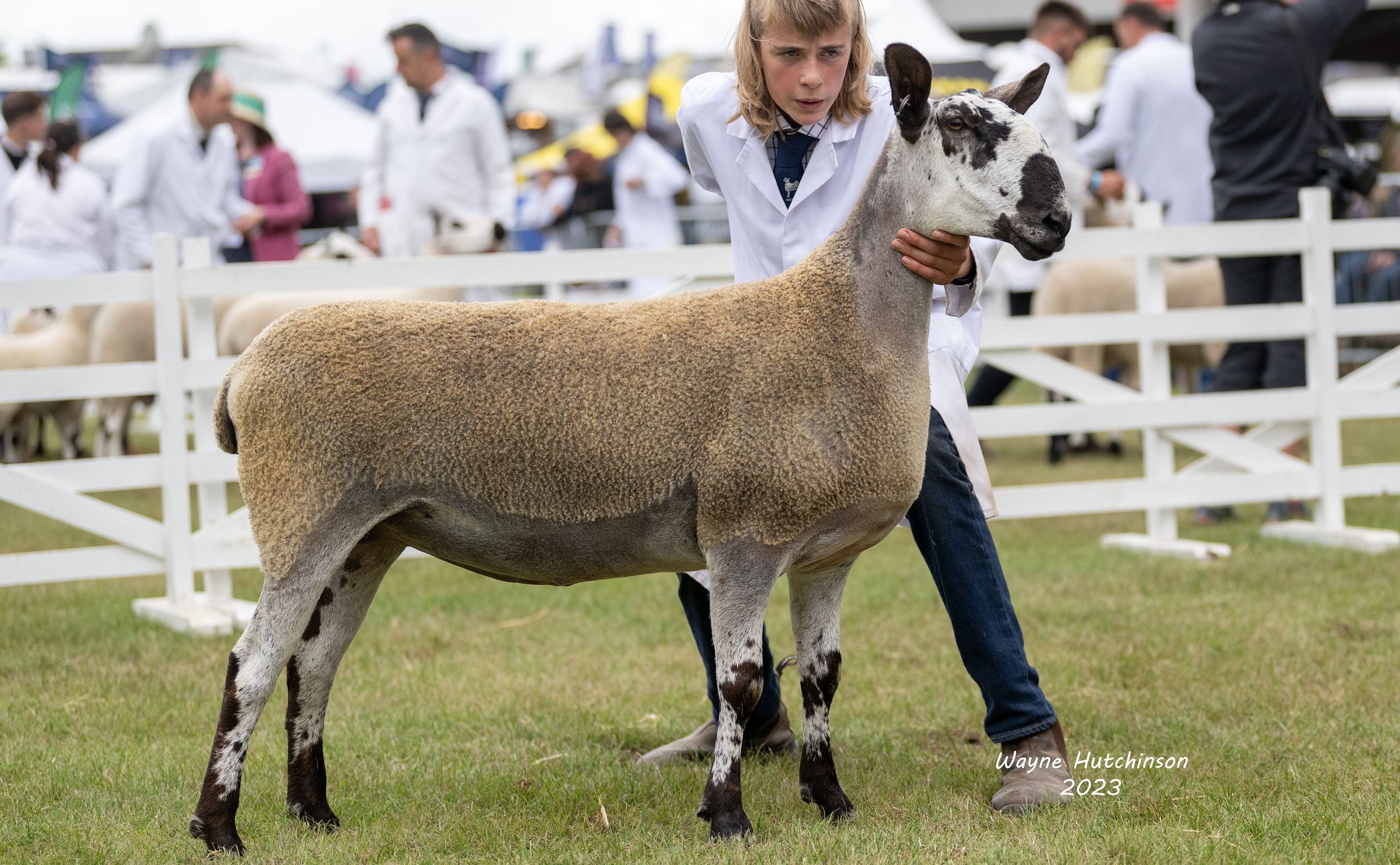 Great Yorkshire Show Show Results