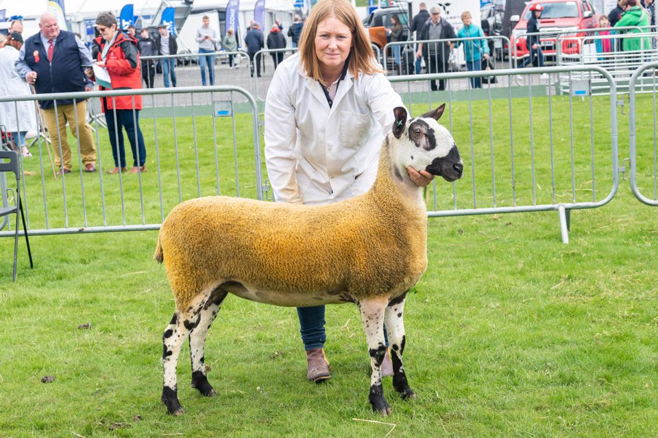 Balmoral Show Show Results