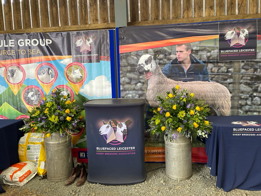 Gallery of Pictures from NSA North Sheep 2023  Image