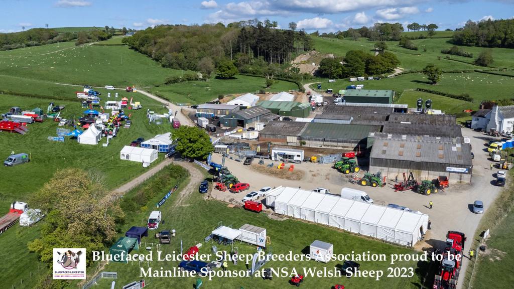 Gallery of Pictures from NSA Welsh Sheep 2023  Image