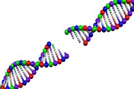 DNA Testing News