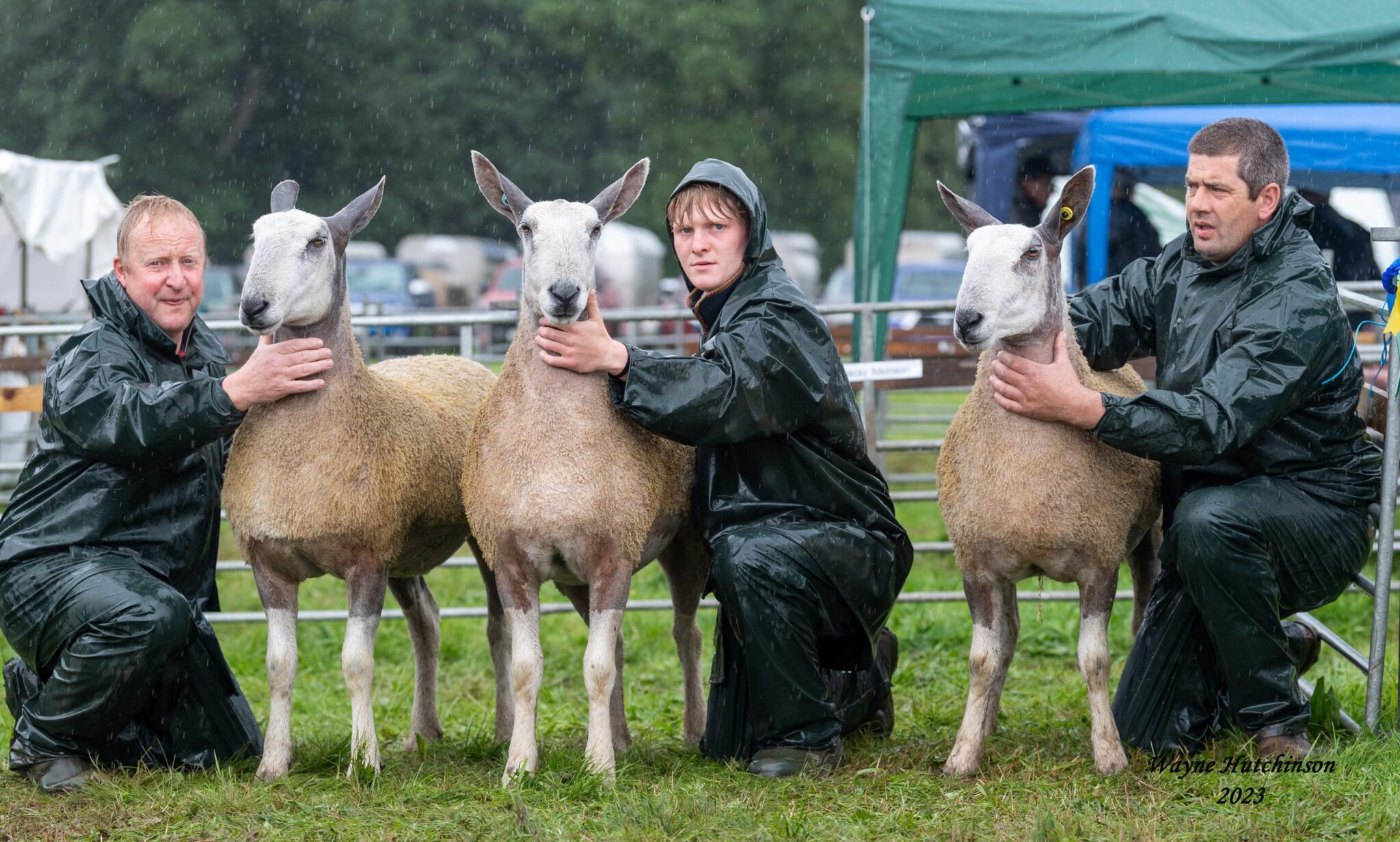 Penrith Progeny Show – Traditional Type Show Results