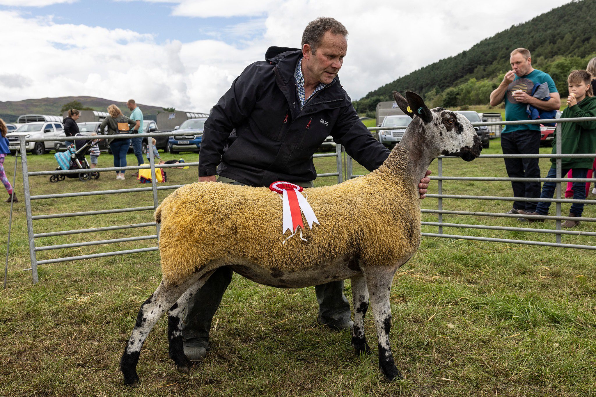 Peebles Show – Crossing Type Show Results